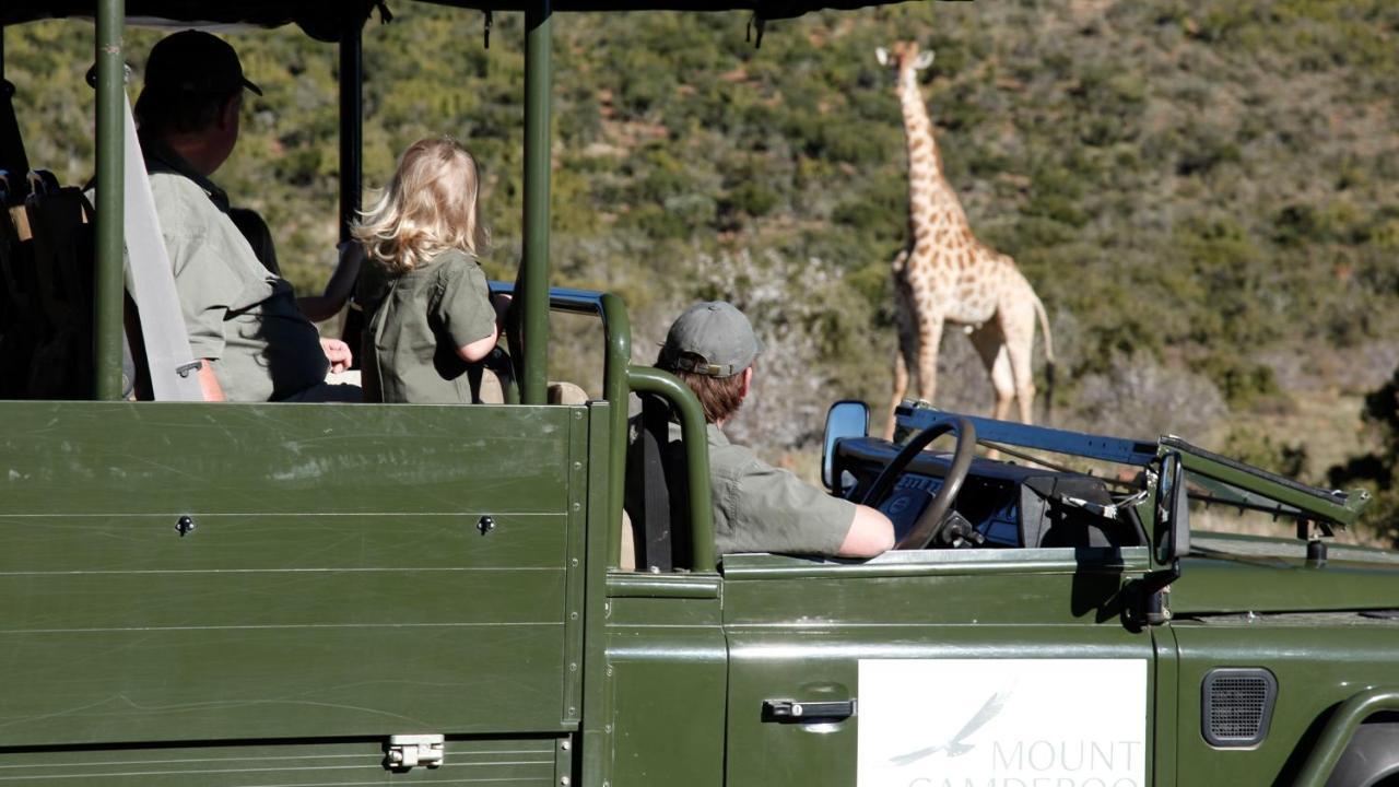 Mount Camdeboo Private Game Reserve By Newmark Graaff Reinet Exterior photo
